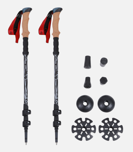 Paire de bâtons carbone télescopiques ultra-légers