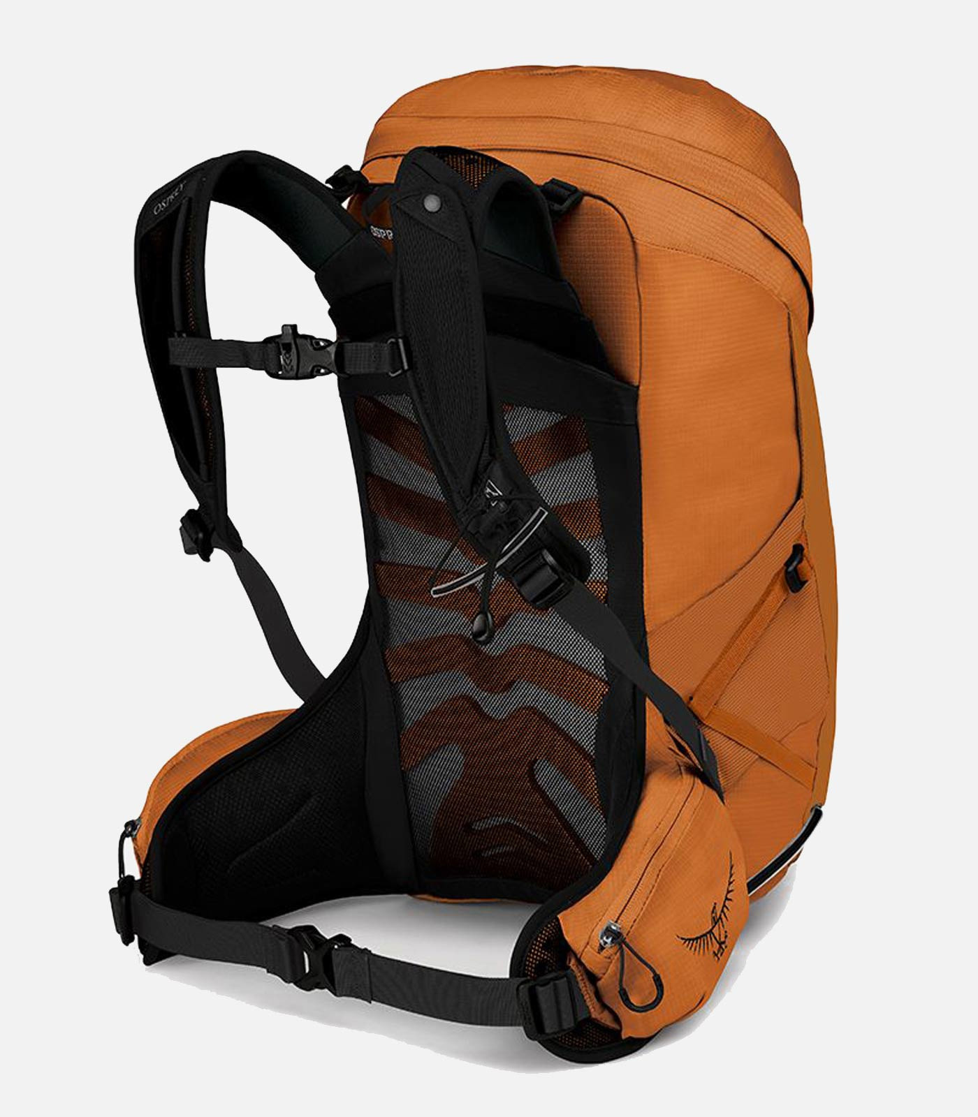 Dosensack rando OSPREY Dosensack rando OSPREY